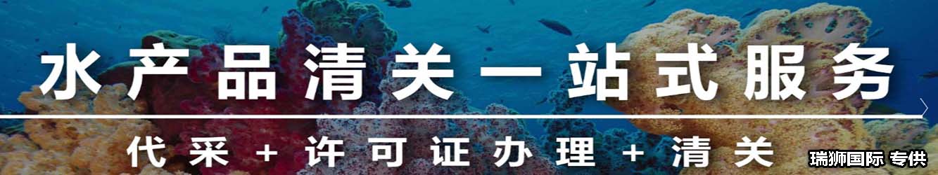 退單提示不允許異地報關，如何處理? 以及如何正常報關，防止被海關退單？