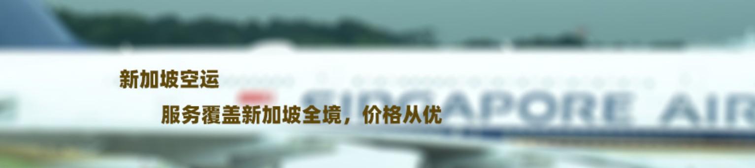 新加坡拼箱價格 新加坡海運代理 新加坡散貨拼箱價格 新加坡船期查詢國際物流貨運代理 