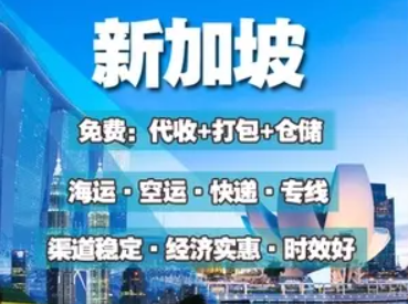 新加坡亞馬遜FBA海運(yùn)頭程 新加坡空運(yùn)亞馬遜尾程派送 新加坡雙清包稅門到門